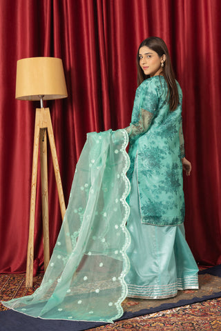 Skyblue Organza Dress With Handwork Dupatta and Sharara