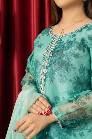 Skyblue Organza Dress With Handwork Dupatta and Sharara